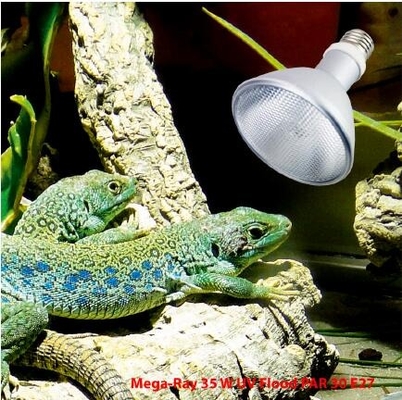 FTL Full Spectrum Reptile HID Lamp 35W 6500k UVB Bulb 6000K Daylight Alert CE/ROHS Certified