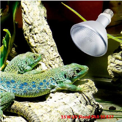 Aluminium UVB HID Lamp Jungle Desert Series 64/95/121mm Diameter 93/118/138mm Length 4000k-10000k Color Temp