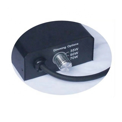 35W 50W 70W 110V-220V Multifunction Dimmable Multifunction Electronic Ballast For HID MH Reptile Lamp Quartz Ceramic Light